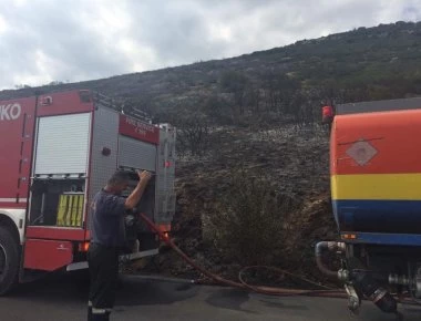 Φωτιά τώρα στη Φυλή